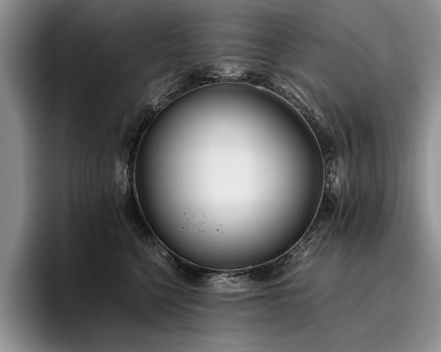 X0000096140568200801181135
