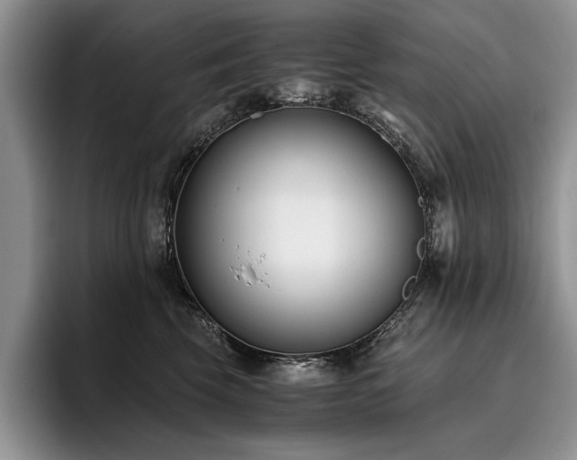 X0000096140569200801181135