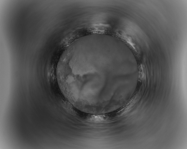 X0000096140573200801181135