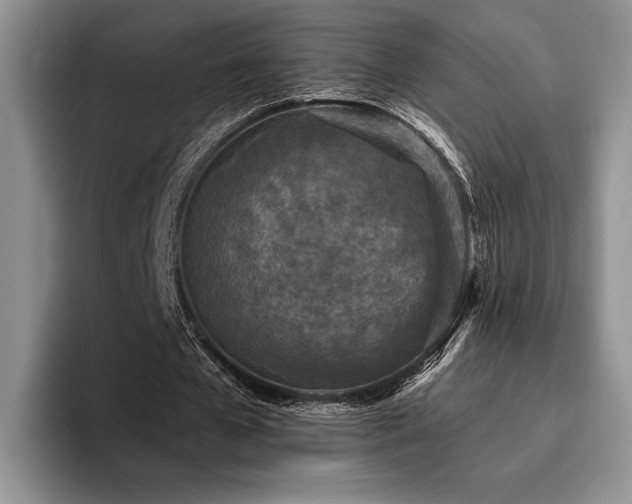 X0000096140577200801181134