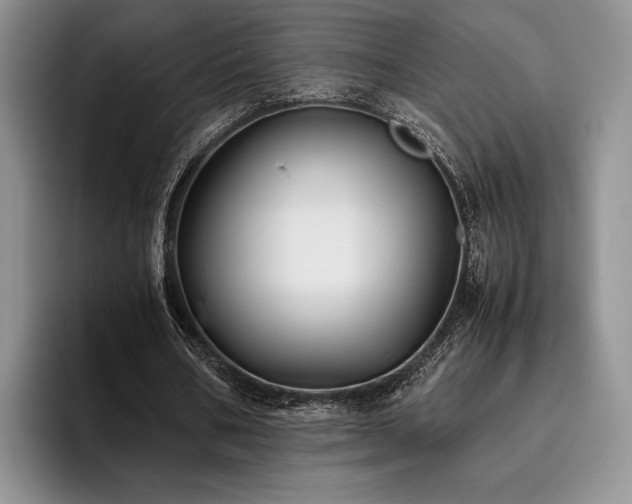 X0000096140578200801181134