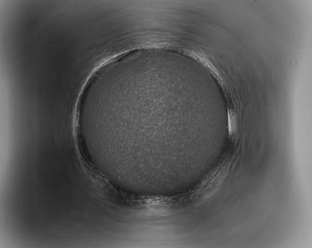 X0000096140579200801181134