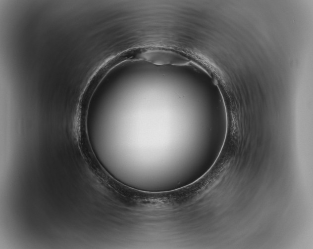 X0000096140580200801181134