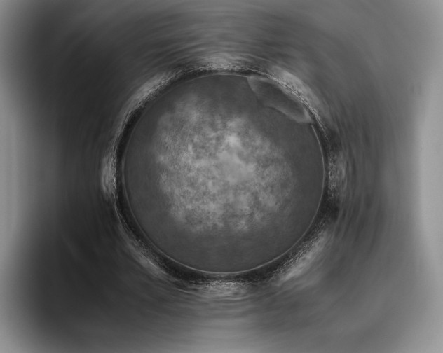X0000096140581200801181134
