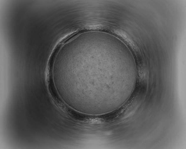 X0000096140583200801181134