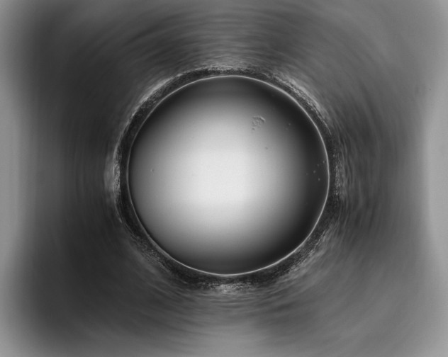 X0000096140584200801181134