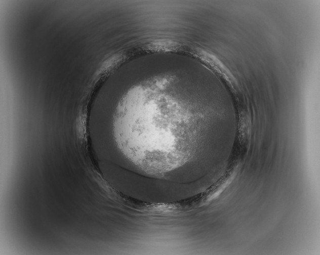 X0000096140585200801181134