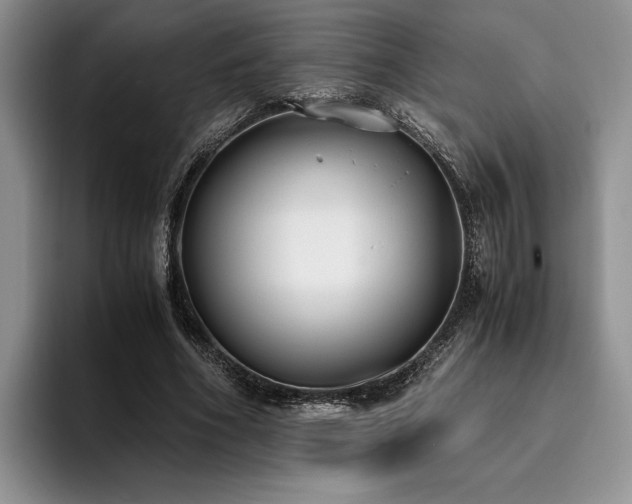 X0000096140586200801181134