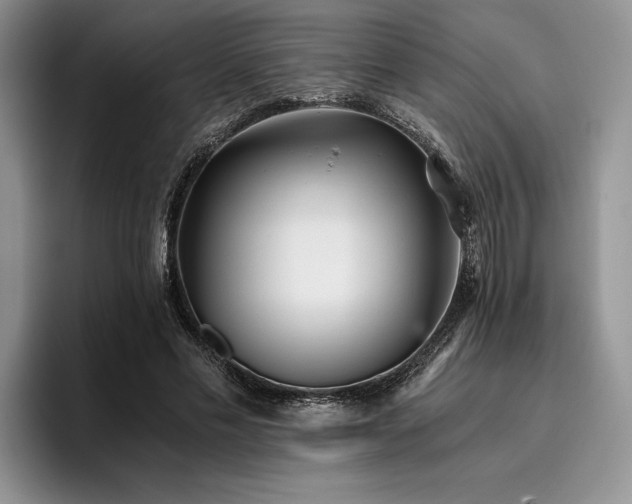 X0000096140589200801181134