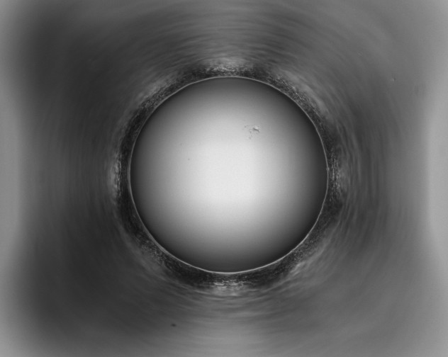 X0000096140591200801181134