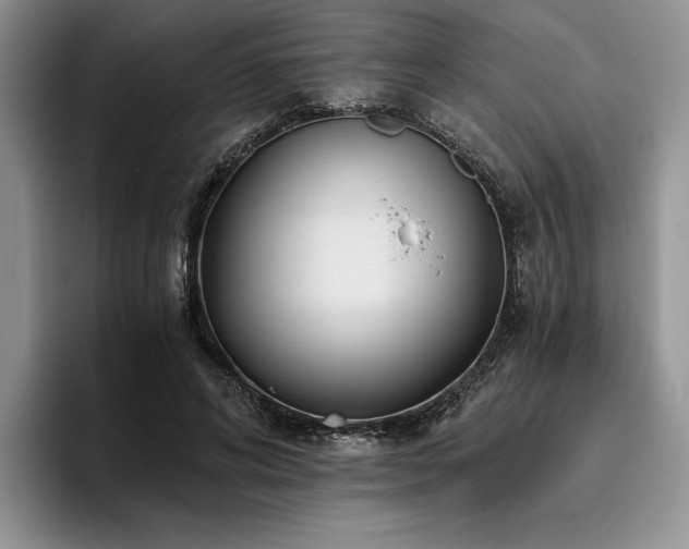 X0000096140592200801181134