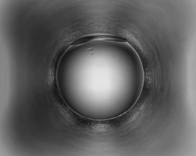 X0000096140593200801181134