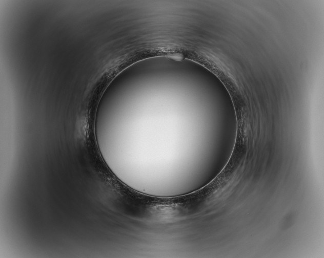 X0000096140595200801181134
