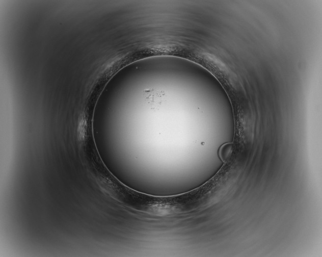 X0000096140596200801181134