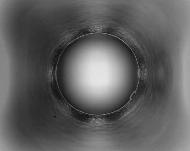 X0000096140599200801181134