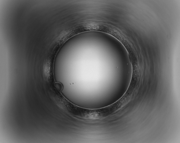 X0000096140600200801181134