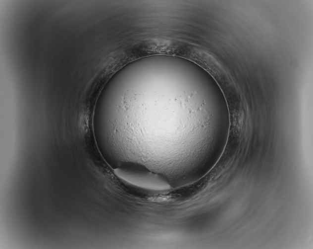 X0000096140602200801181134