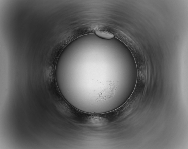 X0000096140605200801181134
