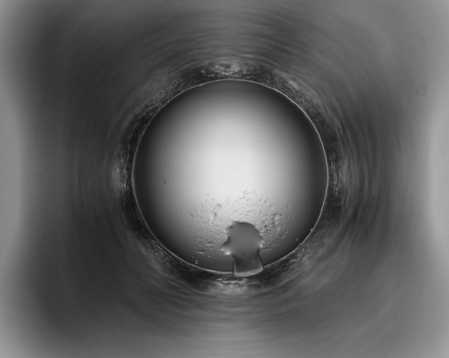 X0000096140606200801181134
