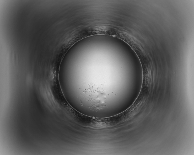X0000096140608200801181134