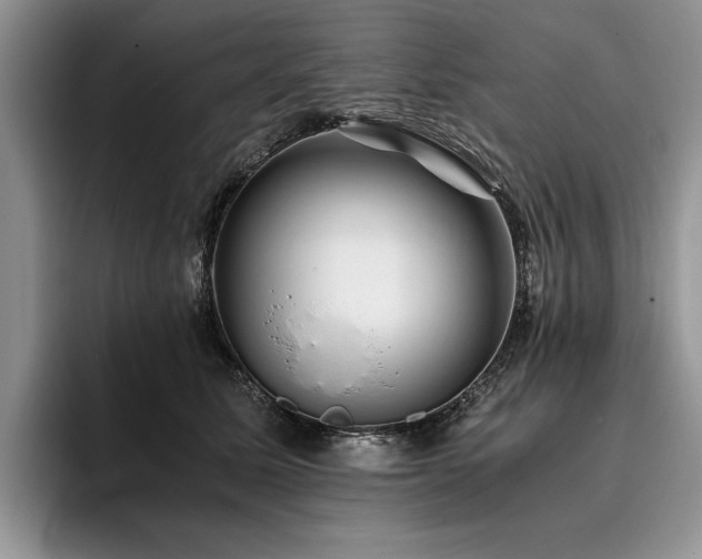 X0000096140611200801181134