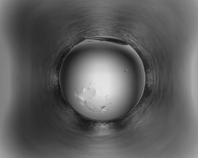 X0000096140613200801181134
