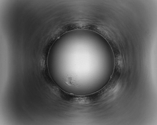 X0000096140615200801181134