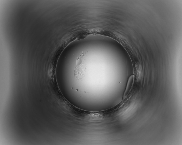 X0000096140619200801181134