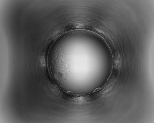 X0000096140620200801181134