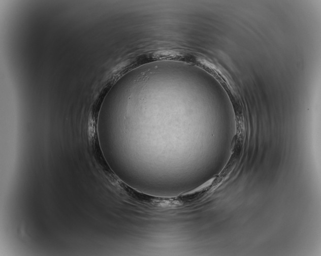X0000096140621200801181134