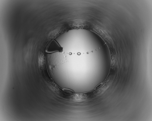 X0000096140623200801181134