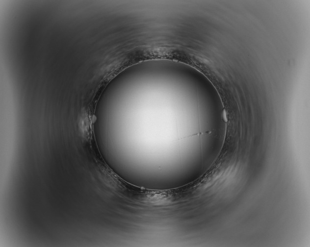 X0000096140624200801181134