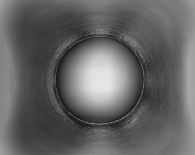 X0000096140625200801181133
