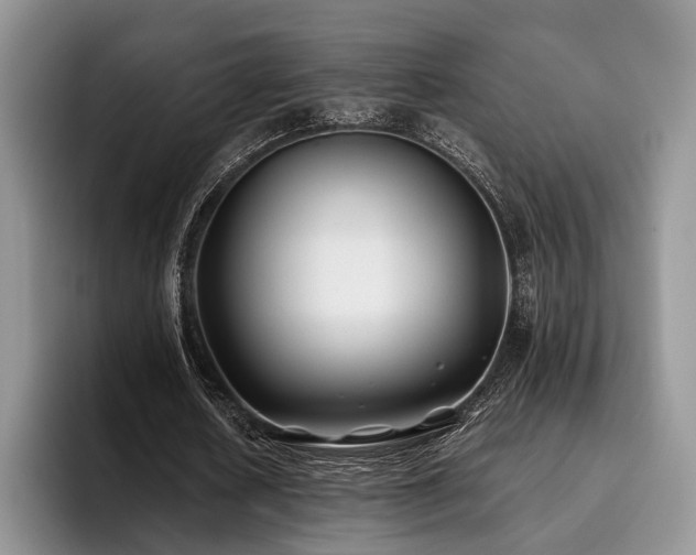 X0000096140626200801181133