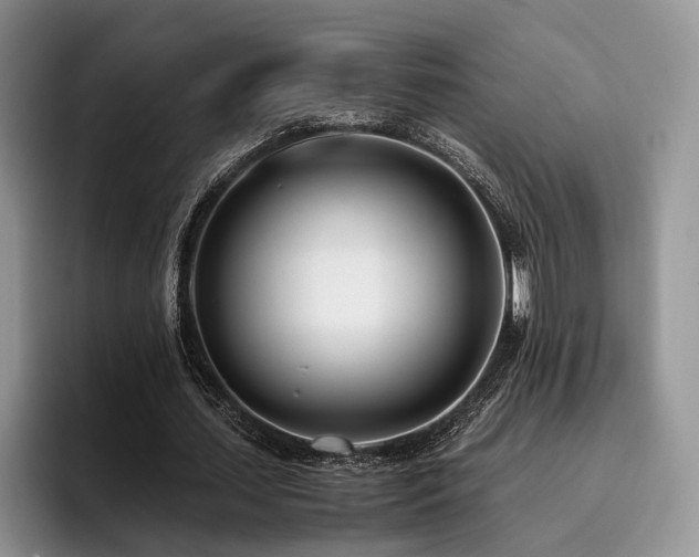 X0000096140627200801181133