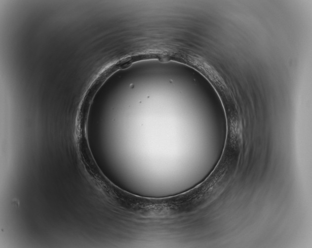 X0000096140628200801181133
