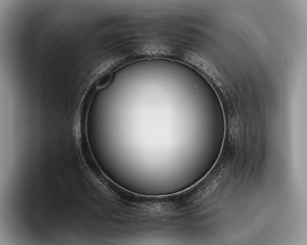 X0000096140629200801181133