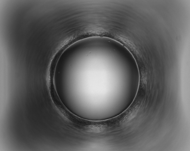 X0000096140630200801181133