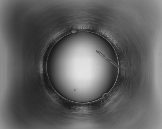 X0000096140631200801181133