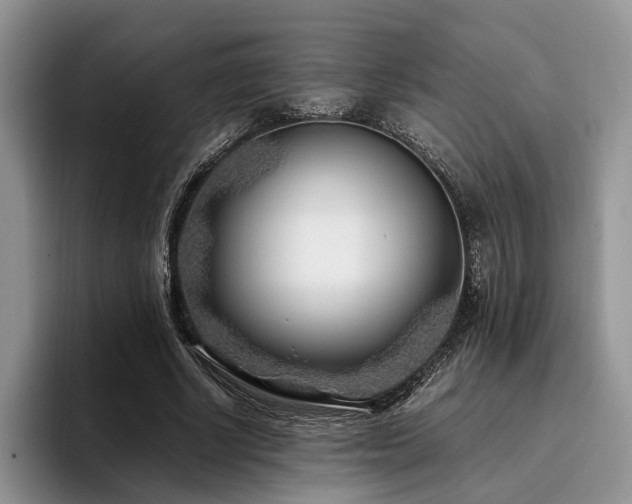 X0000096140634200801181133