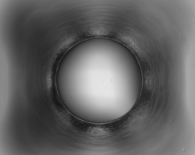 X0000096140635200801181133