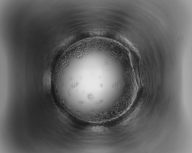 X0000096140637200801181133