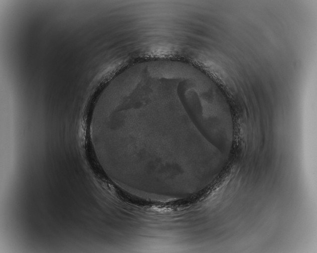 X0000096140640200801181133
