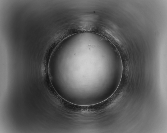 X0000096140641200801181133