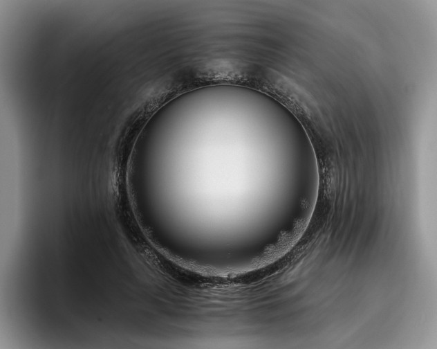 X0000096140643200801181133