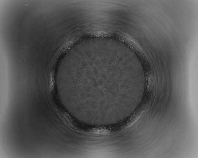 X0000096140644200801181133