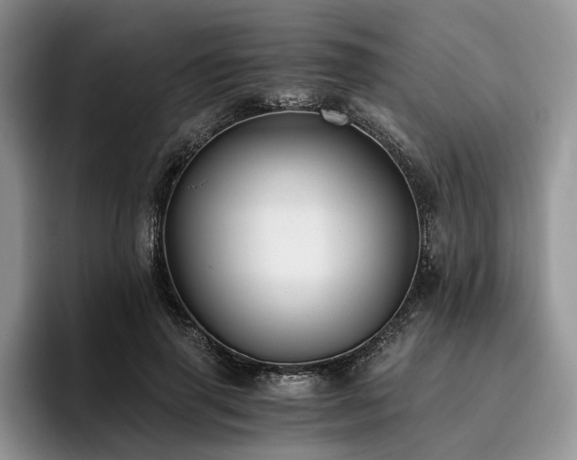 X0000096140645200801181134
