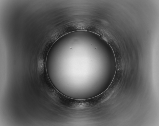 X0000096140646200801181134