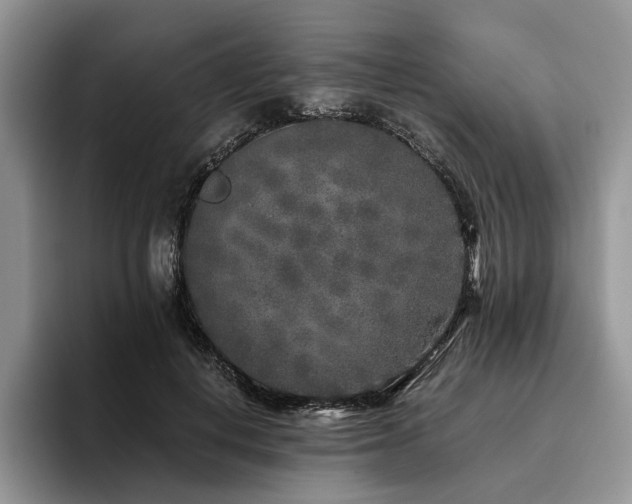 X0000096140648200801181134
