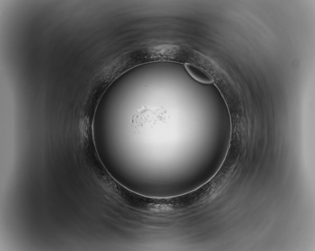 X0000096140649200801181134